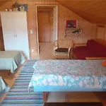 Karvisen Kissanpaeivaet Joensuun Laehellae