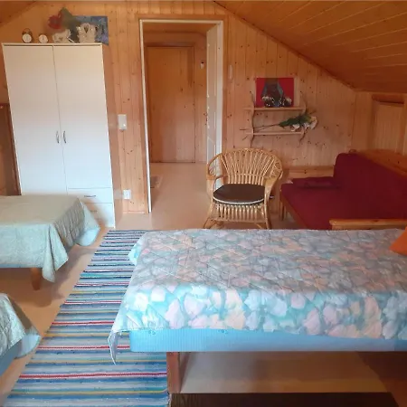 Karvisen Kissanpaeivaet Joensuun Laehellae