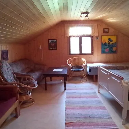 Karvisen Kissanpaeivaet Joensuun Laehellae