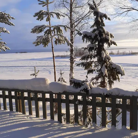 Karvisen Kissanpaeivaet Joensuun Laehellae 招待所