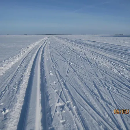 Karvisen Kissanpaeivaet Joensuun Laehellae 招待所