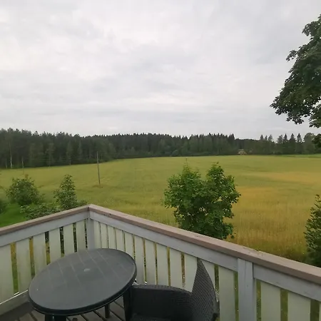 Karvisen Kissanpaeivaet Joensuun Laehellae