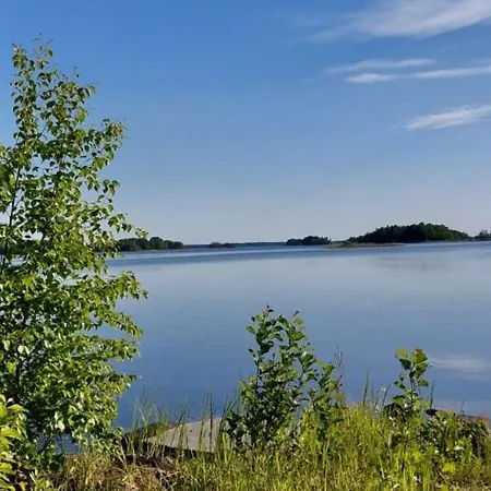 Karvisen Kissanpaeivaet Joensuun Laehellae Konukevi