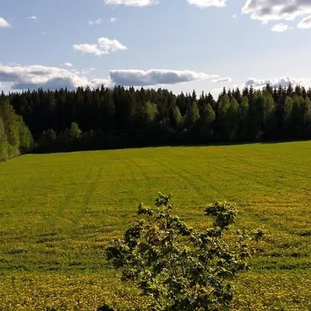 Gasthof Karvisen Kissanpaeivaet Joensuun Laehellae
