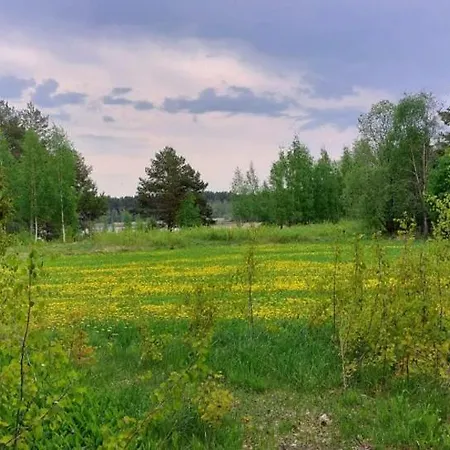 Konukevi Karvisen Kissanpaeivaet Joensuun Laehellae *