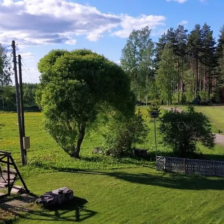 Karvisen Kissanpaeivaet Joensuun Laehellae *