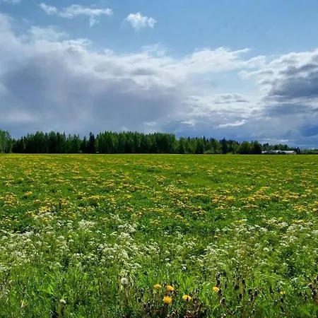 Karvisen Kissanpaeivaet Joensuun Laehellae 招待所