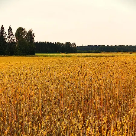 Karvisen Kissanpaeivaet Joensuun Laehellae 招待所 Ruokola